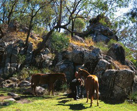 Coomba Falls - Accommodation in Brisbane 0
