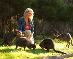 Pearcedale VIC Accommodation in Brisbane