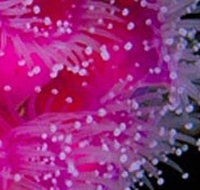 Yaringa Marine National Park - Accommodation in Brisbane