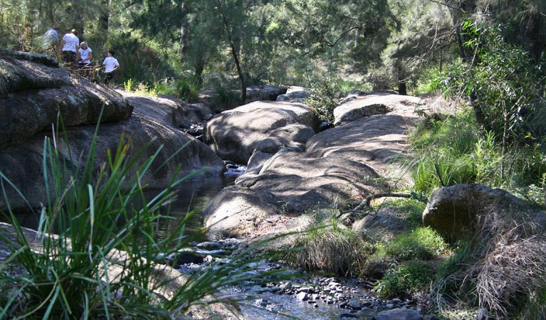 Dry Creek NSW Accommodation in Brisbane