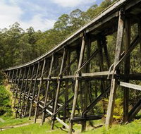 Noojee Trestle Bridge - Accommodation in Brisbane