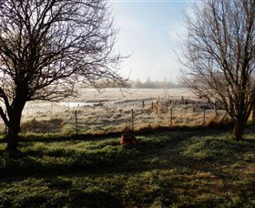 Jannei Artisan Cheese Makers - Accommodation in Brisbane 2