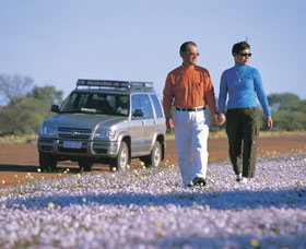 Canna Reserve - Accommodation in Brisbane 1