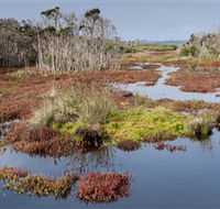 French Island National Park - Accommodation in Brisbane
