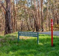 Lobs Hole Ravine 4WD Trail - Accommodation in Brisbane