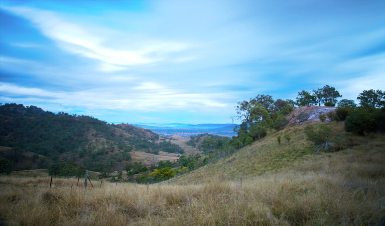 Wingen NSW Accommodation in Brisbane