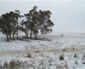 Crookwell Wind Farm - Accommodation in Brisbane 2