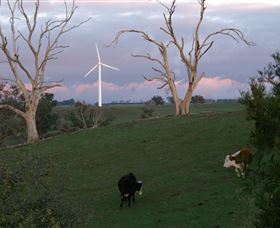 Crookwell Wind Farm - Accommodation in Brisbane 1