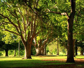 Queens Park, Toowoomba - Accommodation in Brisbane 1