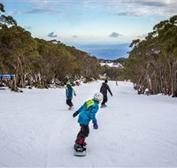 Mt Baw Baw Alpine Resort - Accommodation in Brisbane