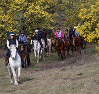 Burnelee Excursions on Horseback - Accommodation in Brisbane