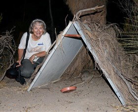 Barna Mia Native Animal Sanctuary - Accommodation in Brisbane 3
