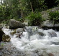 Washpool National Park - Accommodation in Brisbane