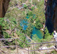 Carlotta Arch walking track - Accommodation in Brisbane