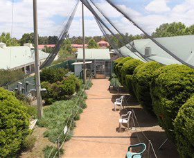 Canberra Walk In Aviary - Accommodation in Brisbane 2