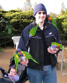 Canberra Walk In Aviary - Accommodation in Brisbane 0