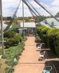 Canberra Walk In Aviary - Accommodation in Brisbane 3