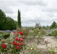 Crystal Brook Lavender Farm - Accommodation in Brisbane