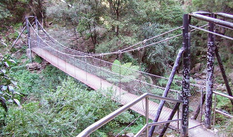 Jenolan River Walking Track - Accommodation in Brisbane 0