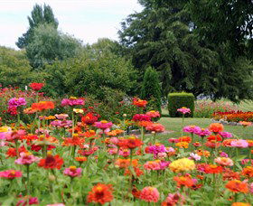 Alma Park - Accommodation in Brisbane 0