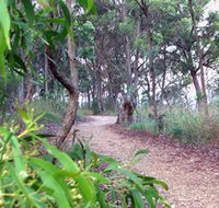 Mount Mutton Walking Trail - Accommodation in Brisbane