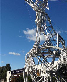 Australian Institute Of Sport (AIS) - Accommodation in Brisbane 0