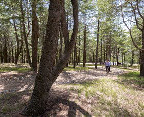 The National Arboretum Canberra - Accommodation in Brisbane 3