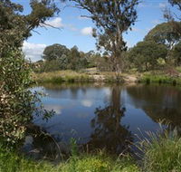 Cooleman Ridge - Accommodation in Brisbane