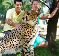 National Zoo  Aquarium - Accommodation in Brisbane