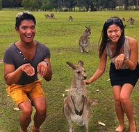 Runaway Tours - Accommodation in Brisbane