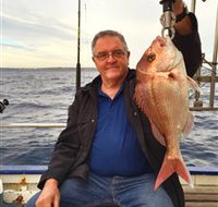 Deep Sea Fishing Charter - Accommodation in Brisbane