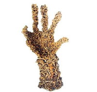 Coo-ee Aboriginal Art Gallery - Accommodation in Brisbane