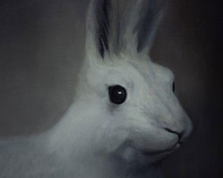 Gallery 9 - Accommodation in Brisbane 2