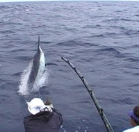 Amokura Charters - Accommodation in Brisbane