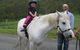 Hunter Valley Horse Riding And Adventures - thumb 2