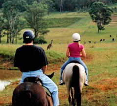 Hunter Valley Horse Riding And Adventures - Accommodation in Brisbane 3