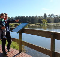 Hunter Wetlands Centre Australia - Accommodation in Brisbane