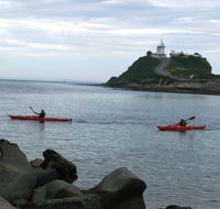 Newcastle Kayak Tours - Accommodation in Brisbane