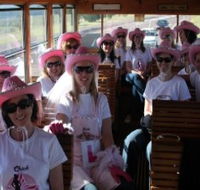 Newcastles Famous Tram - Accommodation in Brisbane