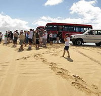 Port Stephens 4WD Tours - Accommodation in Brisbane