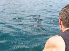 Tex Tours - Accommodation in Brisbane 3