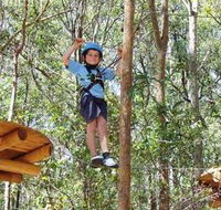 TreeTops Newcastle - Accommodation in Brisbane