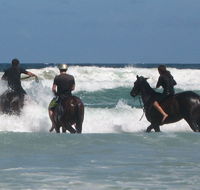 Pegasus Park Equestrian Centre - Accommodation in Brisbane