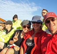 Byron Bay Whale Watching - Accommodation in Brisbane