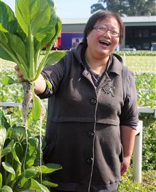 TCP Day Tours - Accommodation in Brisbane 3