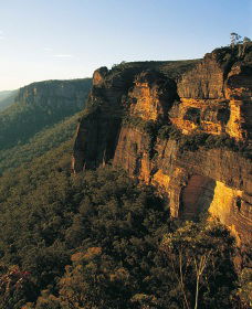 Blue Mountains Mountain Bike Adventure Tour