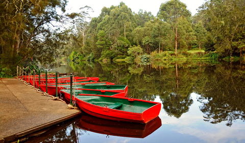 Lane Cove National Park - Accommodation in Brisbane 0