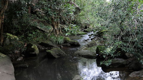 Lane Cove National Park - Accommodation in Brisbane 3