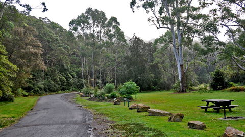 Lane Cove National Park - Accommodation in Brisbane 2