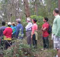 Boronia Tours - Accommodation in Brisbane